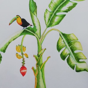 Toucan on Banana Tree - Original Watercolor Painting, Colorful Wall Art.