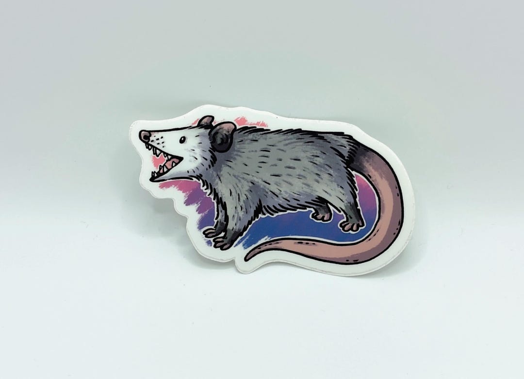 Opossum Vinyl Sticker - Etsy