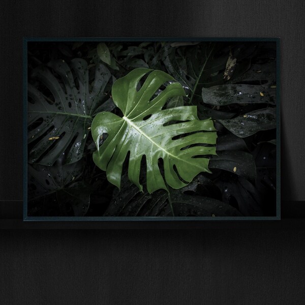 Lush Tropical Modern Fine Art Photography, Monstera Moody Dark Botanical Tropical Living Room Décor, Printable Single Digital Download