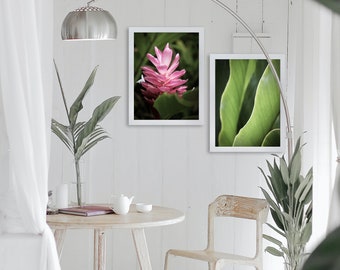 Vibrant Tropical Pink Ginger Flower Botanical Modern Fine Art Photography, Dramatic Lush Wall Décor, Printable Digital Download Duo