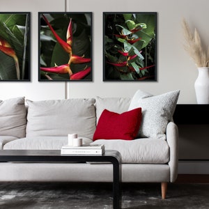 Tropical Red Heliconia Flower Foliage Wall Art Home Décor, Dark Botanical Modern Fine Art Photography, Printable Digital Download Trio