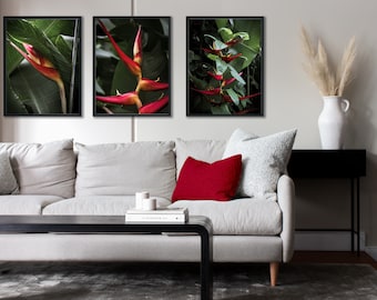 Tropical Red Heliconia Flower Foliage Wall Art Home Décor, Dark Botanical Modern Fine Art Photography, Printable Digital Download Trio