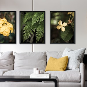 Yellow Blossom and Fern Wall Art Home Décor, Fresh Botanical Modern Fine Art Photography, Printable Digital Download Trio