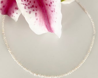 Freshwater Seed Pearl Necklace