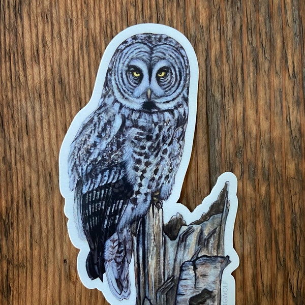 STICKER - Great Grey Owl