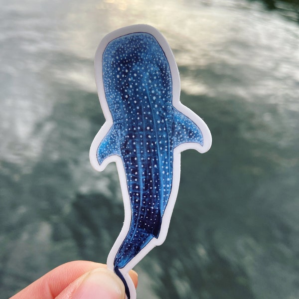 STICKER - Whale Shark