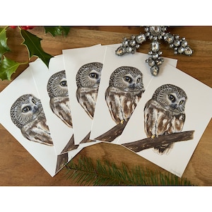 NOTE CARD PACK - 5 cartes de notes de hibou de scie