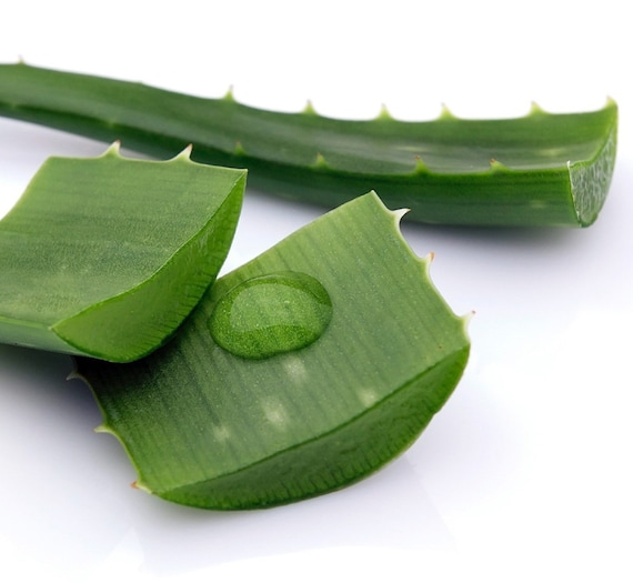 equilibra aloe vera Equilibra Aloe Gel Sensitive Toothpaste 75Ml – Raf Pharmacy