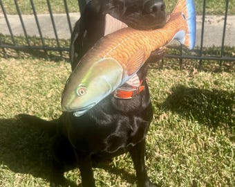 Redfish Toy