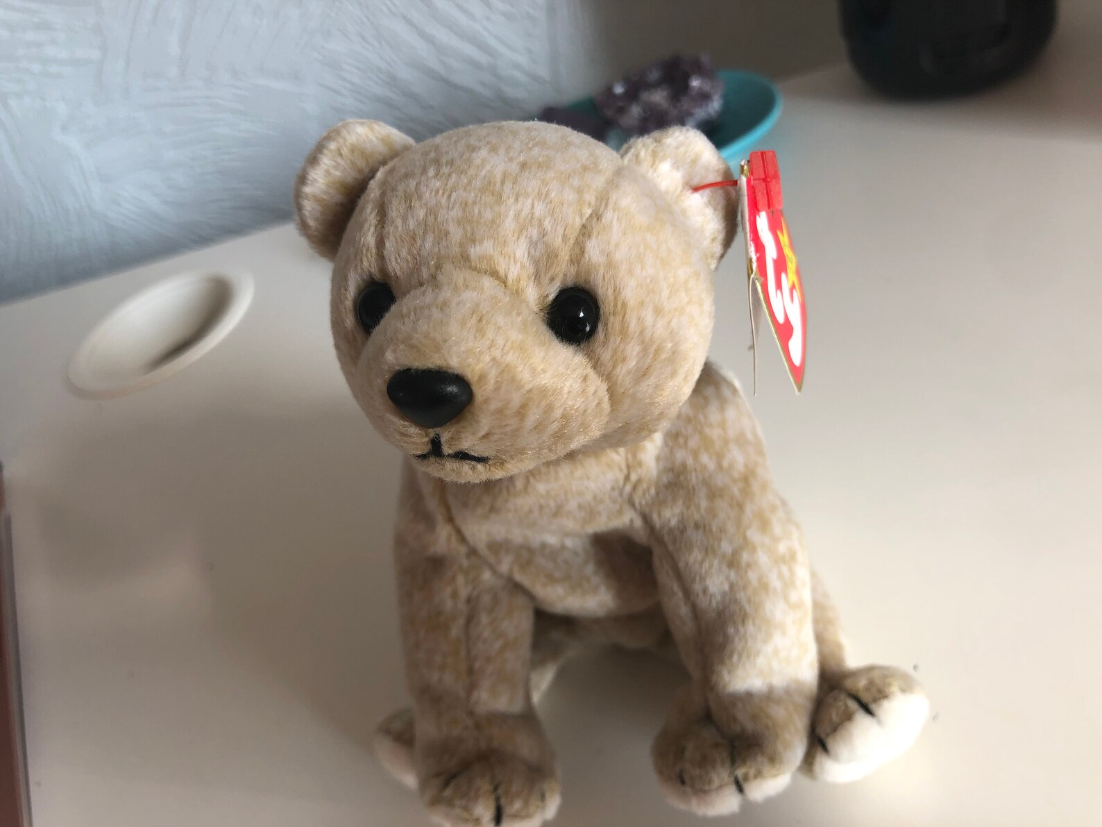 Collectible retired Ty beanie baby Almond 1999 perfect Etsy