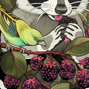 K&ouml;nnte beinhalten: Eine Aquarell-Illustration eines Waschb&auml;ren mit einem gr&uuml;n-blauen Vogel, der auf seinem R&uuml;cken sitzt. Der Waschb&auml;r h&auml;lt eine Brombeere in seiner Pfote. Der Hintergrund ist ein gr&uuml;ner, belaubter Busch mit Brombeeren.