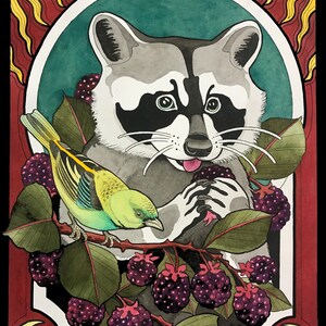 K&ouml;nnte beinhalten: Eine Aquarellillustration eines Waschb&auml;ren mit einer schwarzen Maske, der Brombeeren isst. Ein kleiner gr&uuml;ner und gelber Vogel sitzt auf einem Zweig mit Brombeeren.
