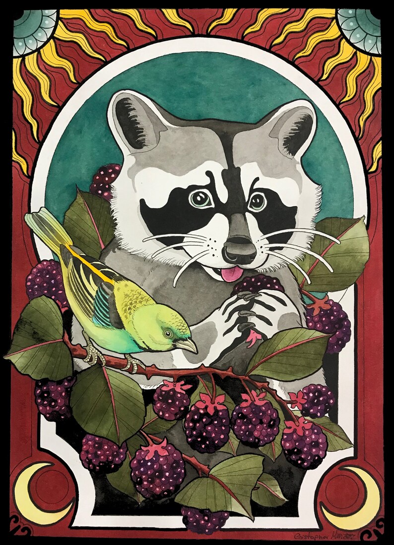 K&ouml;nnte beinhalten: Eine Aquarellillustration eines Waschb&auml;ren mit einer schwarzen Maske, der Brombeeren isst. Ein kleiner gr&uuml;ner und gelber Vogel sitzt auf einem Zweig mit Brombeeren.