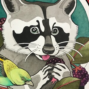 K&ouml;nnte beinhalten: Ein Aquarellbild eines Waschb&auml;ren mit schwarzen und wei&szlig;en Markierungen, der eine Traube lila Beeren h&auml;lt. Der Waschb&auml;r ist von gr&uuml;nen Bl&auml;ttern und Beeren umgeben.
