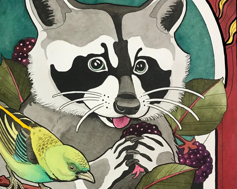 K&ouml;nnte beinhalten: Ein Aquarellbild eines Waschb&auml;ren mit schwarzen und wei&szlig;en Markierungen, der eine Traube lila Beeren h&auml;lt. Der Waschb&auml;r ist von gr&uuml;nen Bl&auml;ttern und Beeren umgeben.