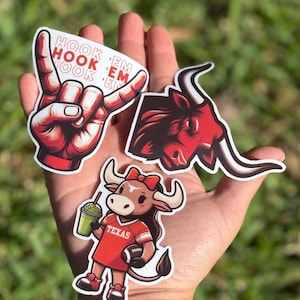 UT Austin sticker