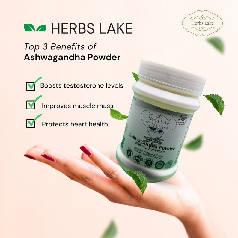 Puede incluir: Un tarro blanco de polvo de Ashwagandha con una etiqueta verde que dice "Herbs Lake Ashwagandha Powder Withania Somnifera Decrease Fatigue & Stress Increase Immunity Power". El tarro est&aacute; siendo sostenido en una mano con hojas verdes en el fondo. El texto "Top 3 Benefits of Ashwagandha Powder" est&aacute; en el lado izquierdo de la imagen. Los beneficios enumerados son "Boosts testosterone levels", "Improves muscle mass", y "Protects heart health".