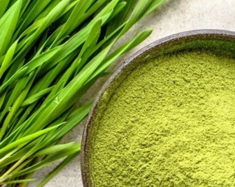 Wheatgrass Powder, Green Superfood Powder for Smoothies, Juice, Tea & Daily Recipes