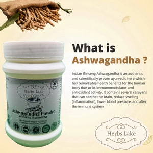 Puede incluir: Un tarro blanco de polvo de Ashwagandha con una etiqueta verde que dice "Herbs Lake" y "Ashwagandha Powder Withania Somnifera". La etiqueta tambi&eacute;n dice "Decrease Fatigue & Stress Increase Immunity Power". El tarro est&aacute; sobre una superficie blanca con un fondo marr&oacute;n y blanco. El texto "What is Ashwagandha?" est&aacute; escrito en letras negras grandes sobre el tarro. El texto debajo del tarro describe los beneficios de la Ashwagandha.