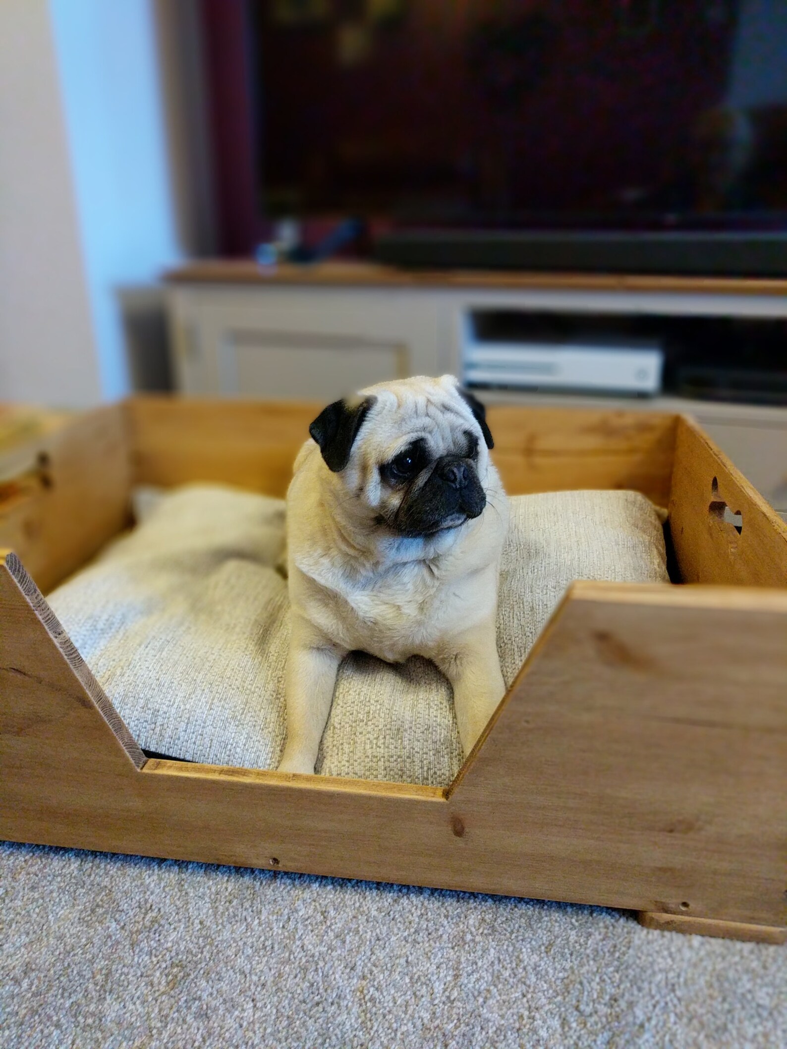 Handmade personalised wood dog bed pet bed pine dog bed dog Etsy