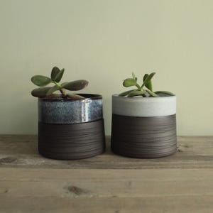 May include: Two cylindrical ceramic planters with a matte black base featuring horizontal etched lines. The left planter has a glossy blue and black speckled rim, while the right planter has a smooth light gray rim. Each holds a small green succulent.