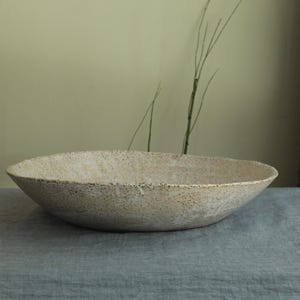 Può includere: Una ciotola in ceramica ovale e poco profonda con una superficie testurizzata e maculata color bianco sporco e beige. La ciotola presenta un bordo organico irregolare e un ampio bacino aperto, con una finitura granulosa e terrosa.