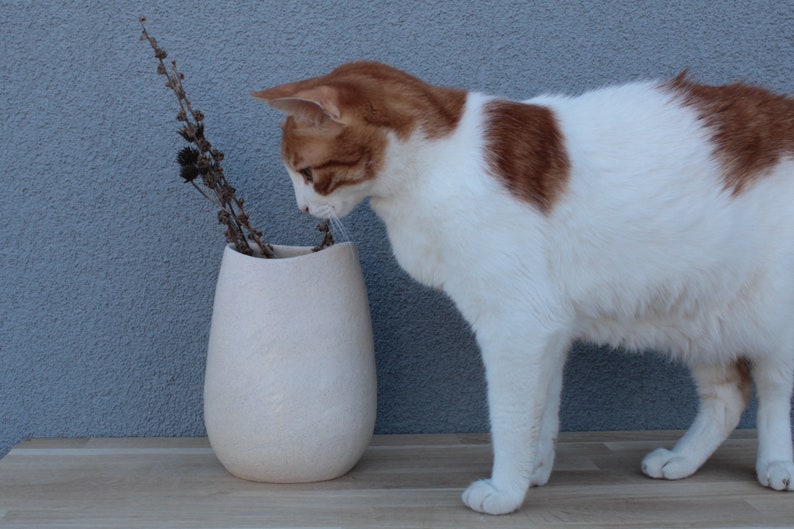 White stoneware vase 2, Handmade ceramic decorative vase, Home decor vase, Interior decor art vase, Flower vase, Interior design vase 画像 8