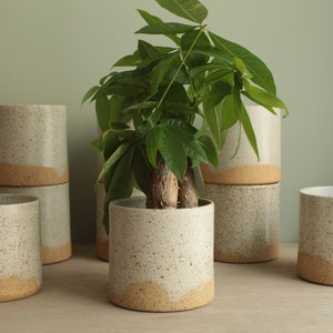 Ceramic indoor planter, Small white speckled planter, Handmade ceramic planter, Housewarming pottery planter