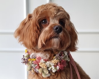 Collar de perro | Flores secas | boda | Elegancia fresca | Para perros | Estilo - Colorido