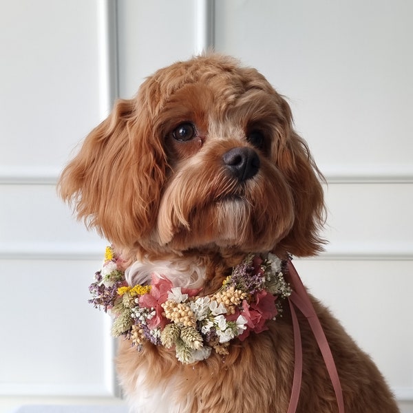 Collar de perro | Flores secas | boda | Elegancia fresca | Para perros | Estilo - Colorido