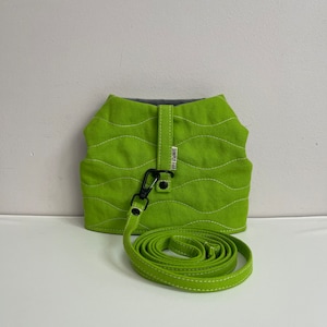 Puede incluir: Un arnés acolchado verde para perro con una correa a juego. El arnés tiene un clip negro y el texto "Pawsitive" en la parte delantera.