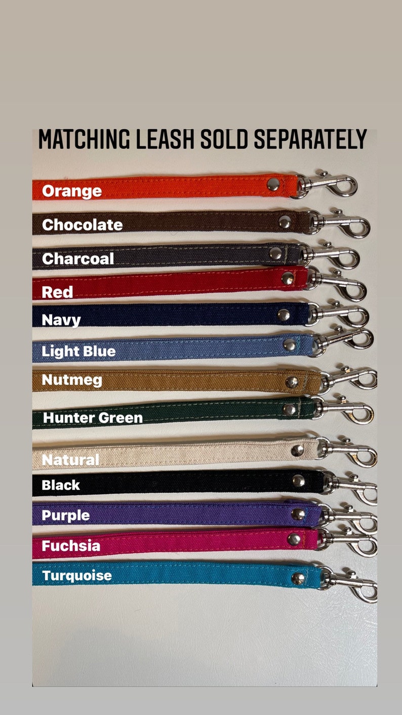 Pode incluir: Uma variedade de cores de coleiras para c&atilde;es com trelas combinando vendidas separadamente. As cores incluem laranja, chocolate, carv&atilde;o, vermelho, azul marinho, azul claro, noz-moscada, verde ca&ccedil;ador, natural, preto, roxo, f&uacute;csia e turquesa.