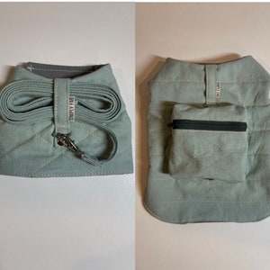 Small Dog/Puppy/Teacup Dog Harness & Leash Set or Backpack Harness//MINT CANVAS