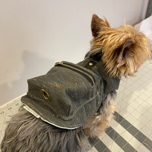 Pode incluir: Um c&atilde;o pequeno, marrom, vestindo um colete de ganga cinza e preto com um bolso com z&iacute;per e um ilh&oacute;s de lat&atilde;o. O colete tem uma bainha branca e o texto "FREEDOM EVERYWHERE" est&aacute; impresso na parte inferior.