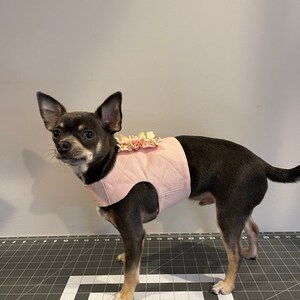 K&ouml;nnte beinhalten: Ein kleiner, schwarz-brauner Chihuahua, der ein rosafarbenes gestepptes Hundegeschirr mit einer rosa-wei&szlig;en Blumenverzierung tr&auml;gt.