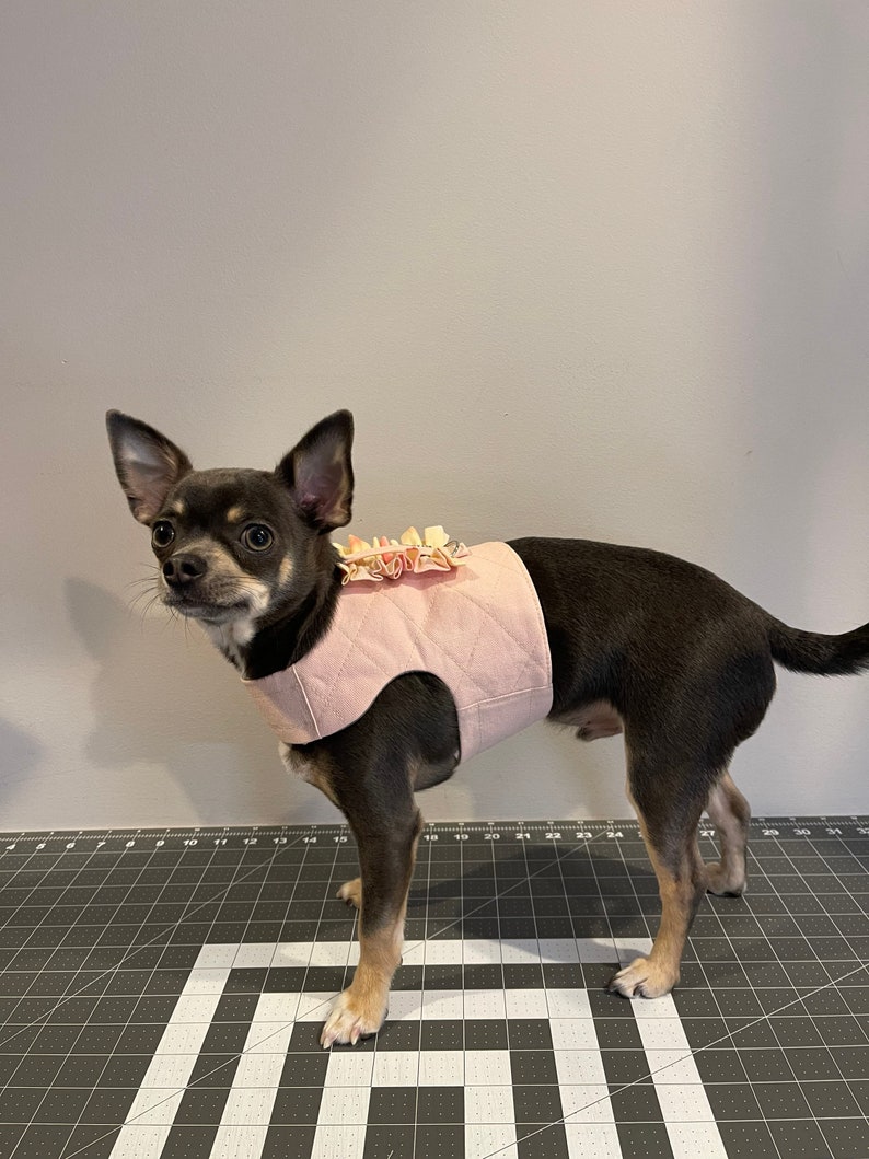 K&ouml;nnte beinhalten: Ein kleiner, schwarz-brauner Chihuahua, der ein rosafarbenes gestepptes Hundegeschirr mit einer rosa-wei&szlig;en Blumenverzierung tr&auml;gt.