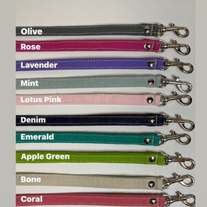 Pode incluir: Um conjunto de 11 clipes de trela para c&atilde;es coloridos com cores de trela combinando. As cores s&atilde;o oliva, rosa, lavanda, menta, rosa l&oacute;tus, denim, esmeralda, verde ma&ccedil;&atilde;, osso, coral e caramelo. Os clipes s&atilde;o prateados e t&ecirc;m um fecho de mola.  TRELA COMBINANDO VENDIDA SEPARADAMENTE.