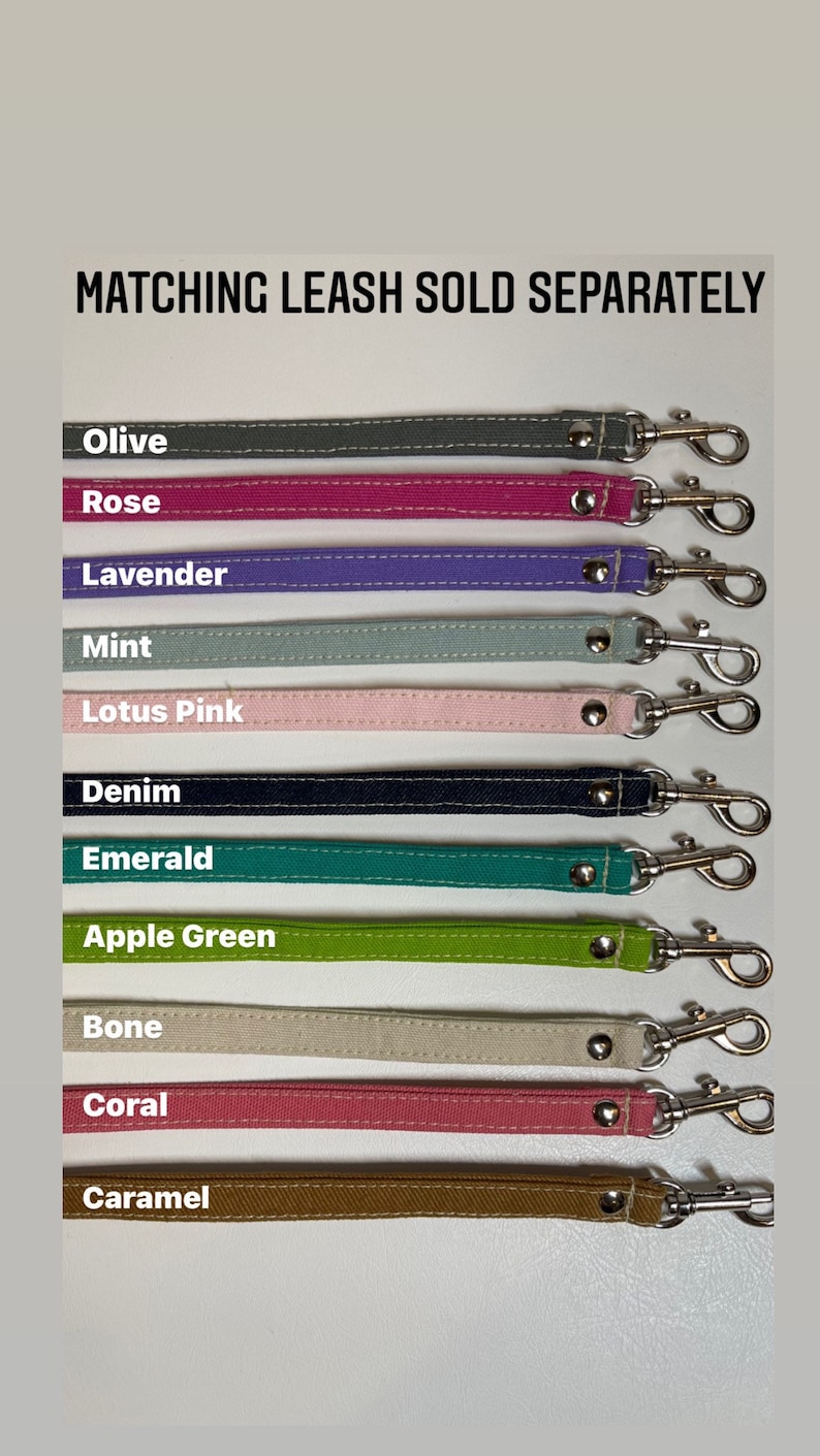 Pode incluir: Um conjunto de 11 clipes de trela para c&atilde;es coloridos com cores de trela combinando. As cores s&atilde;o oliva, rosa, lavanda, menta, rosa l&oacute;tus, denim, esmeralda, verde ma&ccedil;&atilde;, osso, coral e caramelo. Os clipes s&atilde;o prateados e t&ecirc;m um fecho de mola.  TRELA COMBINANDO VENDIDA SEPARADAMENTE.