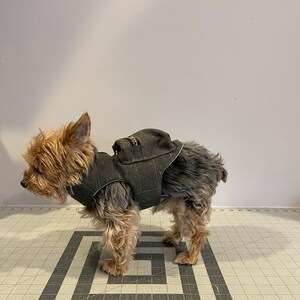 Pode incluir: Um c&atilde;o pequeno, marrom e preto, vestindo um colete acolchoado verde escuro com z&iacute;per. O c&atilde;o est&aacute; em p&eacute; sobre uma superf&iacute;cie quadriculada cinza e branca.
