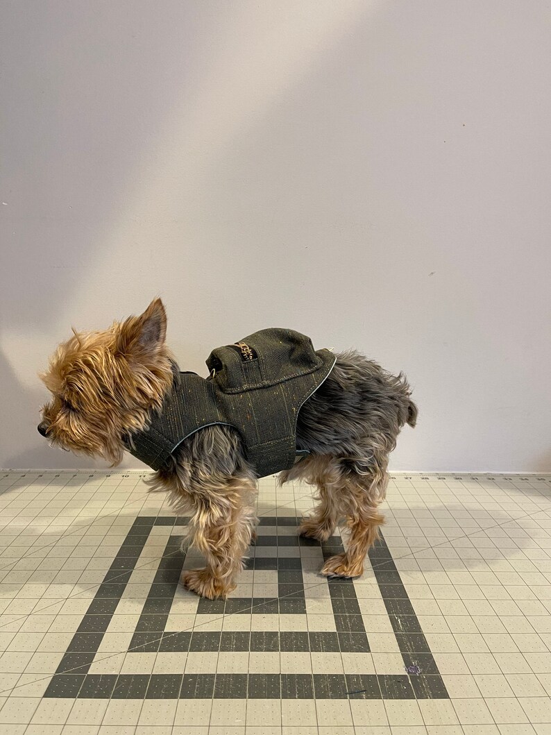 Pode incluir: Um c&atilde;o pequeno, marrom e preto, vestindo um colete acolchoado verde escuro com z&iacute;per. O c&atilde;o est&aacute; em p&eacute; sobre uma superf&iacute;cie quadriculada cinza e branca.