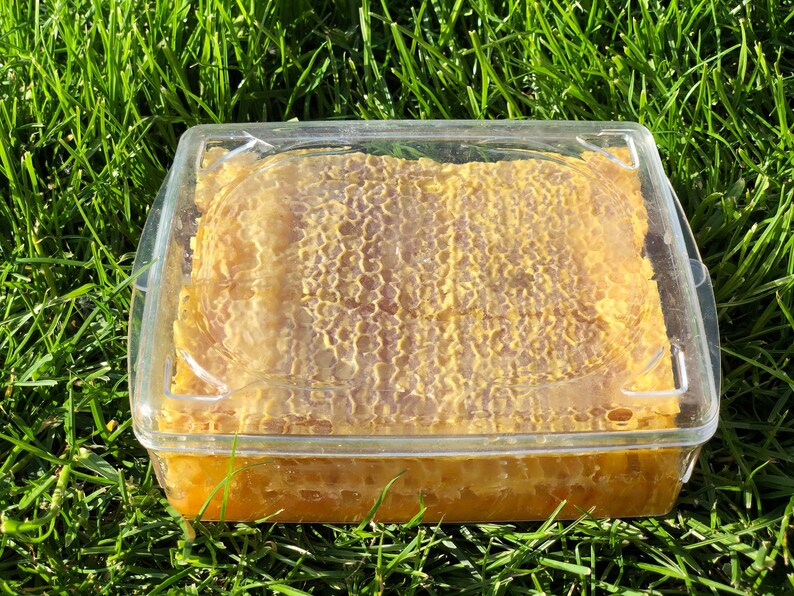 Natural Raw Organic Cut Pure Honey Comb 500g 1kg Etsy
