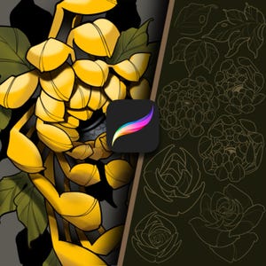 May include: A digital illustration of a yellow chrysanthemum flower with a black outline. The flower is surrounded by leaves and a black and white outline of a rose. The image is created using Procreate.