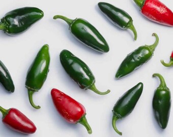 Mild Jalapeno Pepper 20+ Hand Selected Heirloom Organic Seeds Fast Shipping
