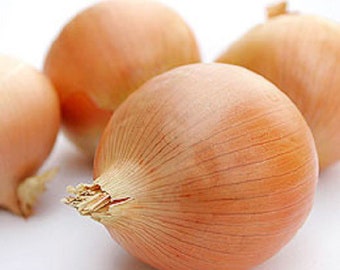 Sweet Onion seeds Granex Yellow from Florida