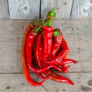Heirloom Jimmy Nardello Pepper Seeds Worlds Best Pepper Grown in Florida