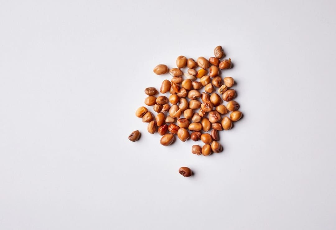 100 Dimpled Brown Crowder Cowpea Seeds Hand Selected Etsy