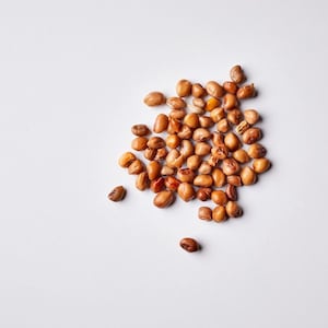 100 Dimpled Brown Crowder CowPea Seeds Hand Selected