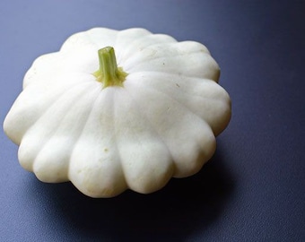 Early White Patty Pan Bush Scallop Squash Seeds USA Garden Vegetable Seed Summer Organic Non GMO Heirloom Fast Shipping