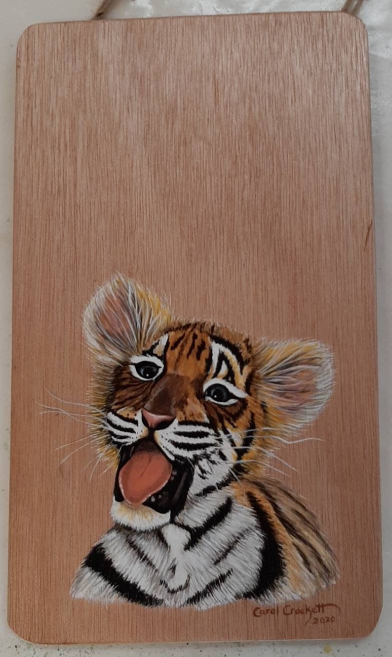 Fluffy Tiger Cub Yawning Young Tiger King