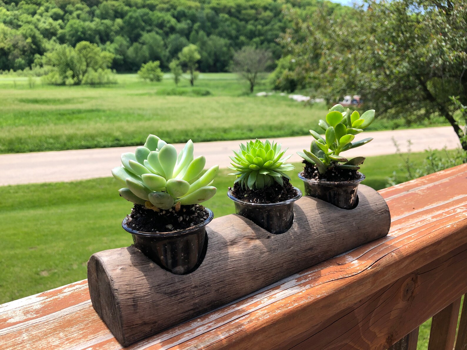 Birthday Gift Planter Live Plant Birthday Gift Unique Etsy